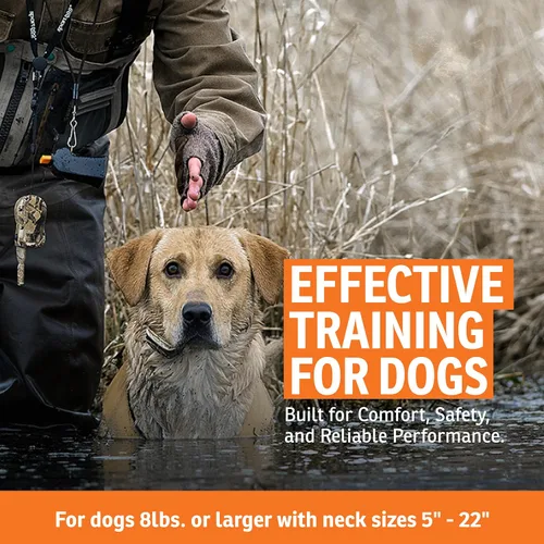 Vista 3 de SportDOG WetlandHunter 425X - Entrenador remoto - Control fiable fuera de la correa - Recargable - Tecnología DryTek impermeable - Cuello