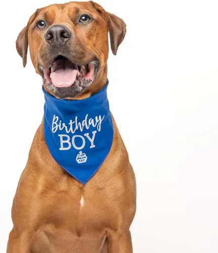 Vista 2 de Bandana de cumpleaños para niño con cupcakes para perro, 100% algodón, fabricada en Estados Unidos, cumpleaños, Pawty, tema de fiesta, suministros