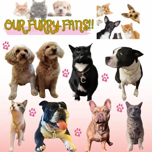 Vista 7 de Collar de cadena con letra inicial cubana para perro, collar de cadena para mascotas, gato, collar para cachorro (S, 25 cm)