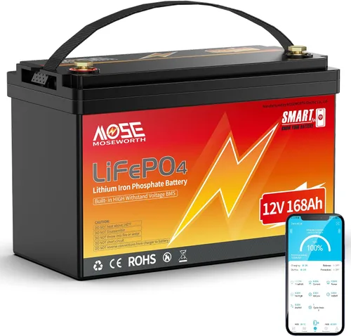 Vista 9 de Batería de litio LiFePO4 de 12 V 100 Ah con Bluetooth, BMS integrado, protección a baja temperatura, más de 5000 ciclos, celdas de batería