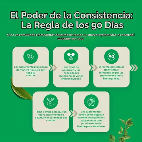 Vista 6 de Prebióticos y probióticos para la salud intestinal y el apoyo digestivo