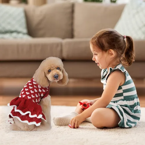 Vista 2 de Vestido de suéter para cachorro, San Valentín, Navidad, niña, rojo, invierno, cálido, vestido de princesa, prendas de punto, suéter para mascotas