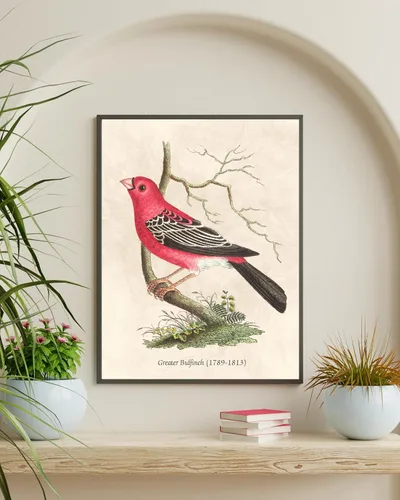 Vista 7 de Nilem Design Arte de pared vintage de pájaros, juego de 6 impresiones sin marco de 8 x 10 pulgadas, carteles de ilustración de naturaleza antigua