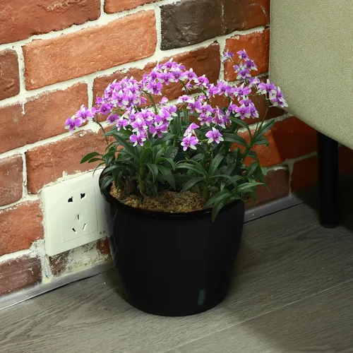 Vista 8 de Planterhoma Macetas de riego automático de 5 pulgadas para plantas de interior, 6 paquetes de macetas de violeta africana con indicador, maceta