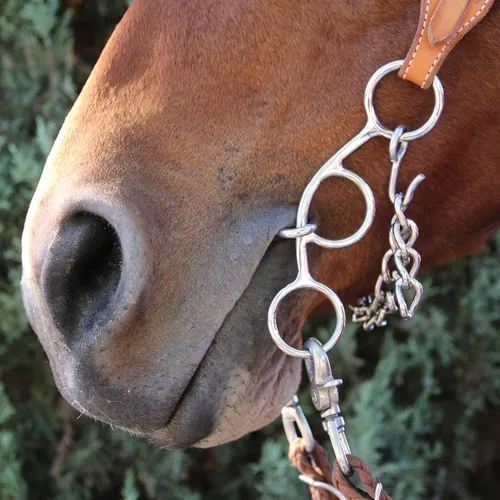 Vista 2 de Professional's Choice Futurity 5.5" Horse Bit Durable Metal Construction, Short Gag Action, Training Design