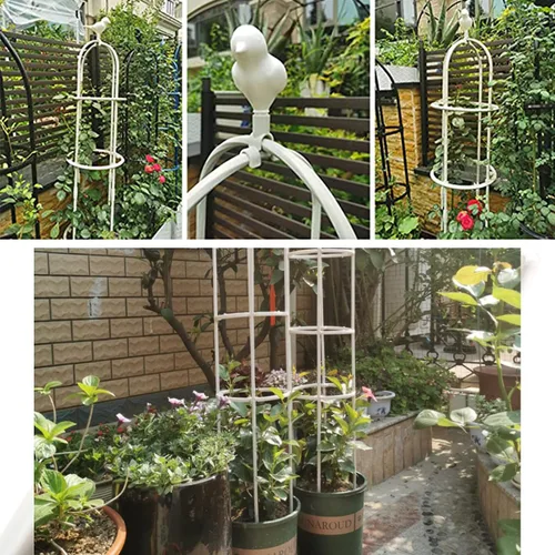 Vista 8 de Enrejado de jardín para plantas trepadoras, tubo de metal inoxidable con soporte resistente de 6 pies, soporte para plantas en maceta para jardín