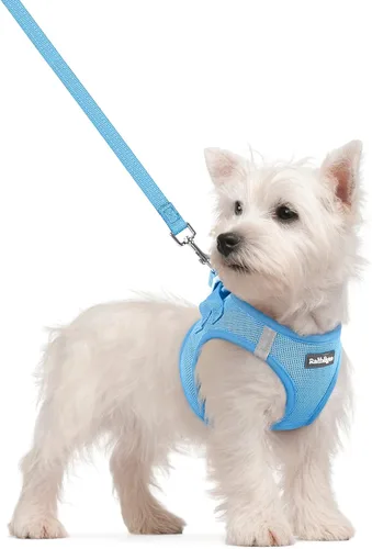 Vista 128 de rabbitgoo Arnés para perro de tamaño pequeño y juego de correa, chaleco Cachorros de manzana