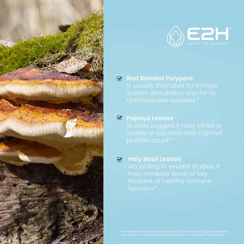 Vista 3 de E2H - Suplemento avanzado de defensa inmunológica, refuerzo inmunológico totalmente natural, suplementos de apoyo inmunológico, gotas - Contiene