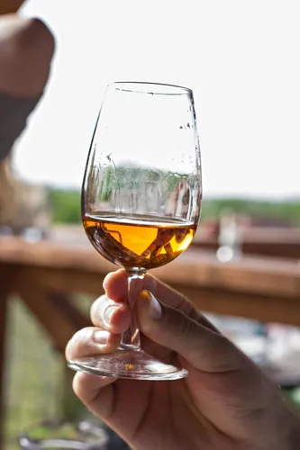 Vista 6 de Architectural Digest 2022 - Juego de 12 elegantes copas de cata de vino cristalinas europeas sin plomo, perfectas para eventos de cata de vinos, 7