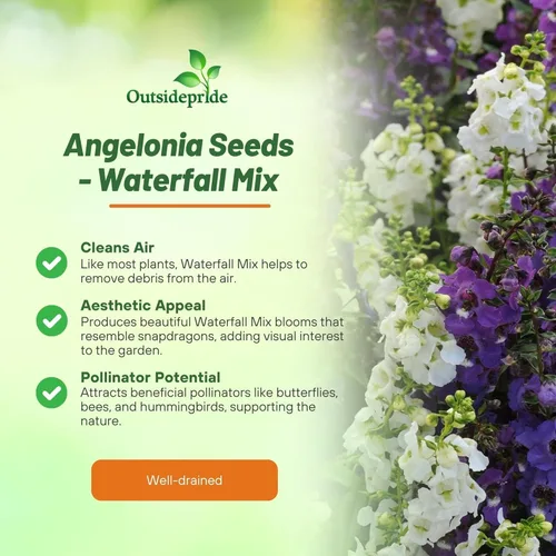 Vista 6 de Outsidepride Serena Waterfall Mix Angelonia Snapdragon Seeds para plantar, 15 piezas de semillas de flores perennes, aptas para polinizadores
