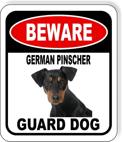 Vista 36 de BEWARE BASSETT HOUND GUARD DOG - Letrero compuesto de aluminio para exteriores, 8.5 x 10 pulgadas CUIDADO BASSETT HOUND GUARD PERRO