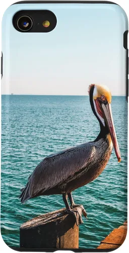 Vista 17 de iPhone 11 Pelican Case