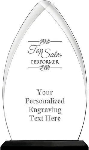 Vista 41 de Crown Awards Premio acrílico personalizado de 9.25 pulgadas de Gateway Skyline