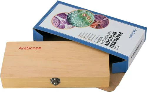 Vista 3 de Microscopio AmScope PS50 preparado portaobjetos de set para Biológica Básica Ciencia Educación, 50 Diapositivas, incluye carcasa ajustable de madera