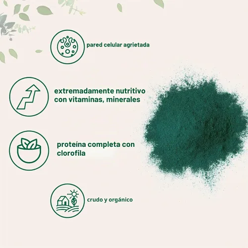 Vista 3 de Micro ingredientes USDA, Chlorella en polvo, orgánico, 1.1 libra, El mejor alimento, rico en vitaminas y proteínas, 8 onzas, 1