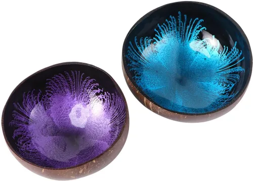 Vista 10 de KESYOO Cuenco de cáscara de coco natural decorativo para decoración del hogar, contenedor de dulces y soporte de frutos secos, cuenco de Dorado