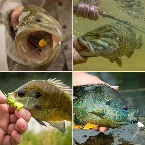 Vista 7 de Popper-Flies-para-Mosca-Pesca-Topwater-Bass-Panfish-Bluegill Poppers Moscas Bugs Señuelos