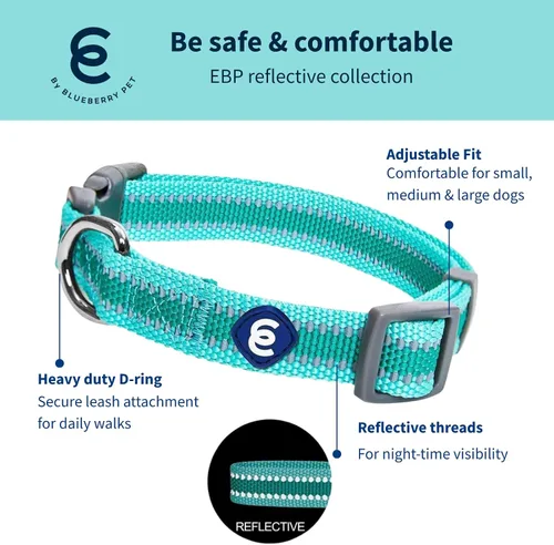 Vista 2 de Blueberry Pet Essentials - Collar para perros pequeños a juego, ajustable, clásico, de nailon, color sólido, para perros pequeños, collar