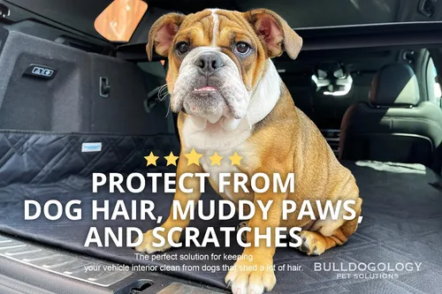 Vista 2 de Bulldogology - Cubierta de asiento para perros, revestimiento de primera calidad, resistente durabilidad, impermeable, respaldo antideslizante