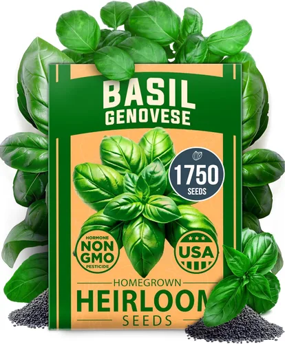 Vista 28 de HOME GROWN Semillas de zinnia rosa – 300 zinnias Luminosa 0.5g, semillas anuales de flores fáciles de cultivar para plantar al aire libre para 2026
