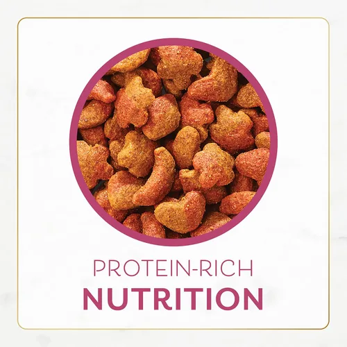 Vista 4 de Fancy Feast Purina - Alimento seco para gatos, sabor filet mignon con mariscos y camarones reales, comida gourmet para gatos con vitaminas