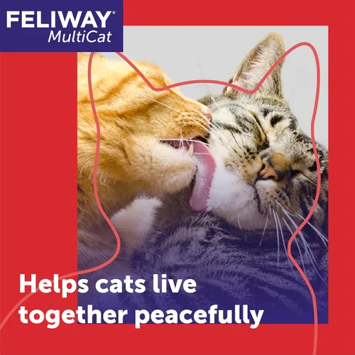 Vista 2 de FELIWAY MultiCat - Kit de difusor calmante para gatos y 6 paquetes de recambio, ayuda a reducir la lucha, la tensión y la agresión entre gatos