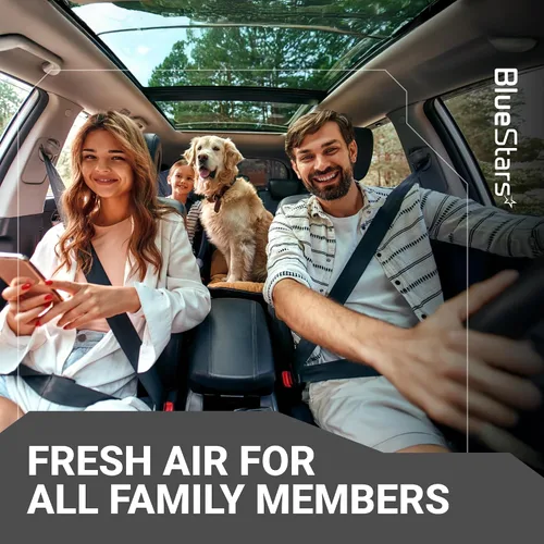Vista 8 de BlueStars CF11819 CP819 Filtro de aire de cabina activado para cabina, compatible con Hyundai Sonata Azera Santa Fe, Kia Optima Cadenza Sedona