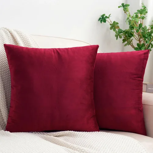 Vista 46 de HWY 50 fundas de almohada decorativas de terciopelo sólido para sofá, sala de estar., Terciopelo, gris, 20x20 pulgadas