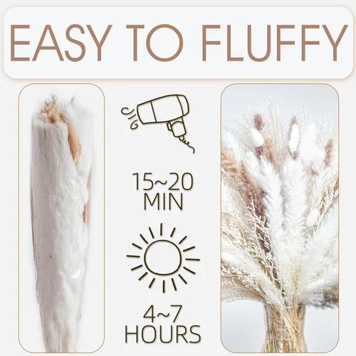 Vista 6 de 70 UNIDADES Hierba de Pampa Seca Natural Estilo Boho para Decoración del Hogar Ramo de Phragmites Flores Secas para Arreglos Florales de Boda