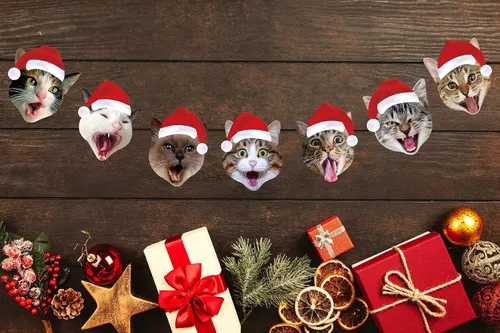 Vista 2 de Guirnalda de Navidad para gatos, diseño con cara de gato, decoración para colgar de Navidad, regalo de Navidad para amantes de los gatos