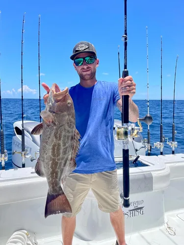 Vista 7 de Fitzgerald Stunner HD Saltwater Offshore Spinning Rod Series Pesca Pesca Pesca