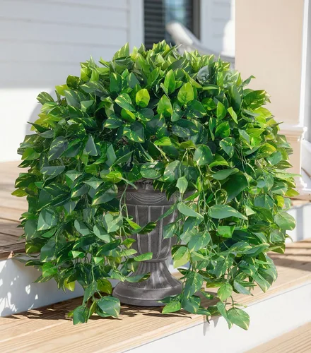 Vista 26 de Tallos de cedro artificiales Ivydale, ramas de pino Norfolk artificiales para decoración de Navidad, 12 tallos de pino falsos con 2 ramas de conos