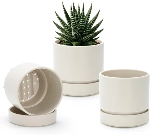Vista 8 de Phoenix Vine 4 Inch Planter Pot with Drainage Hole & Saucer, Deep Water Catch Tray, Straight Cylindrical Round Pot for Plants, Olive, Pack of 1