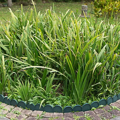 Vista 5 de Evelyne Borde de borde de jardín en medio círculo (semicírculo) diseño arqueado – 15 piezas de revestimiento de valla de jardinería verde barrera