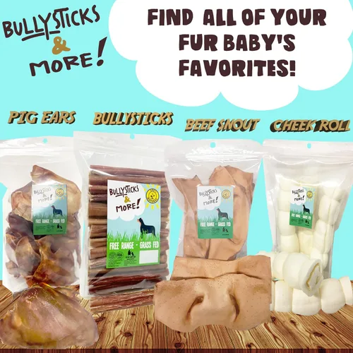 Vista 7 de BULLYSTICKS & MORE Hocicos de mejillas de carne ahumada de 8 a 10 pulgadas para perros (extra gruesos, 3 unidades) - Masticables para perros - Tiras