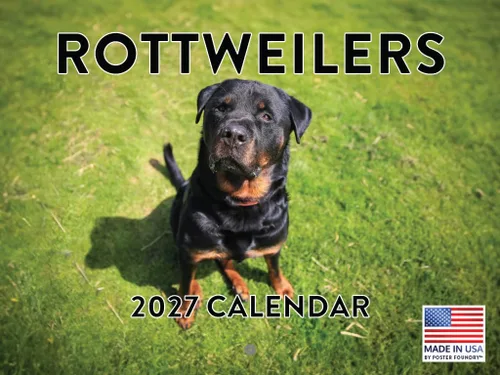 Vista 34 de Calendario mensual de pared Airedale Terrier Dog 2027