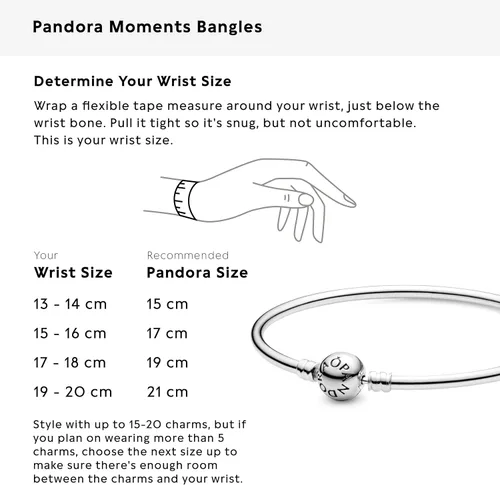 Vista 5 de PANDORA Pulsera Moments Charm con cierre Pandora