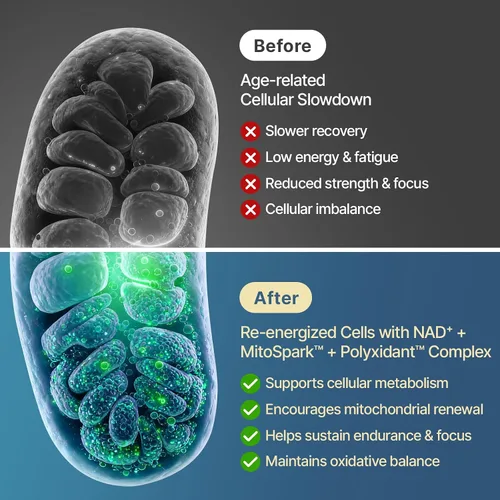 Vista 3 de Suplemento NAD+ de 1600 mg de fuerza extra, alternativa liposomal NMN con resveratrol, urolitina A, CoQ10, quercetina y ALA, energía mitocondrial