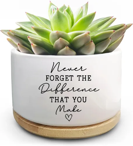 Vista 14 de Maceta Divertida para Plantas Suculentas, Maceta Pequeña para Plantas de Interior, Lindas Macetas de Cerámica para Cactus con Drenaje, Decoración