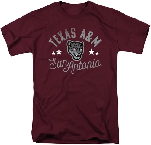 Vista 94 de Collegiate Distressed Mascot Unisex Adult T Shirt Collection 3 Universidad de Adelphi