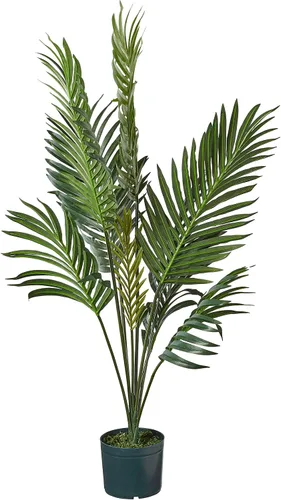 Vista 2 de Palmera Kentia Nearly Natural