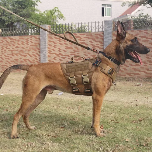 Vista 2 de ICEFANG - Arnés táctico para perro con 6 hebillas, chaleco con sistema molle con asa para perro, 3/4 del cuerpo, panel con velcro para parche