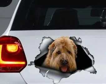 Vista 16 de Calcomanía roja de perro salchicha de pelo largo, calcomanía para mascotas, calcomanía de perro salchicha rojo, calcomanía de vinilo para perro