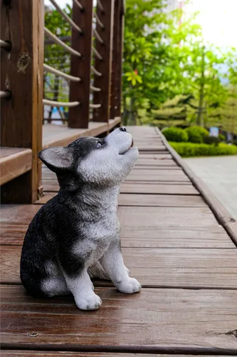 Vista 7 de Husky Siberiano Cachorro Aullando