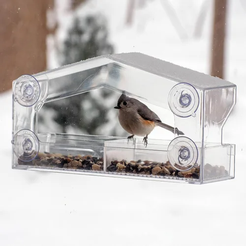 Vista 2 de Perky-Pet 347 Comedero transparente para pájaros con ventosas fuertes, capacidad de semillas de 1 libra