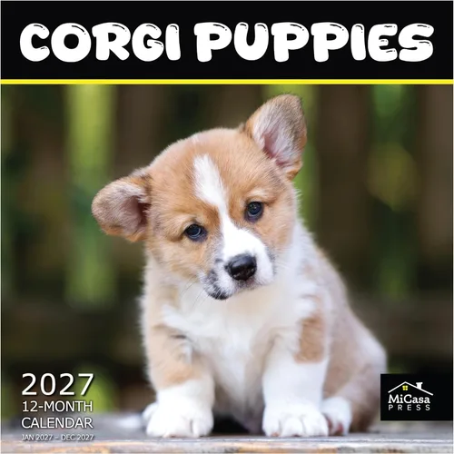 Vista 65 de MICASA PRESS Calendario de pared de Australian Shepherds Aussies 2027 02 - Pastores australianos