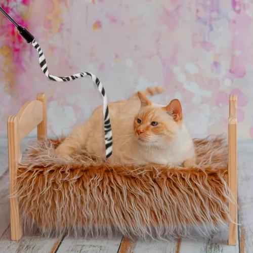 Vista 6 de Sumind 3 piezas de varita de gato de la selva para gato, teaser encantador, juguetes interactivos divertidos varita gatito juguete, 3 estilos