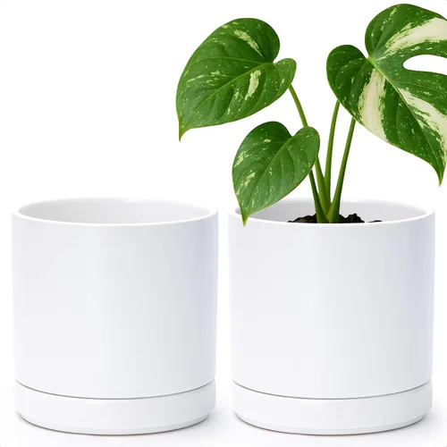 Vista 41 de D'vine Dev - Juego de 2 macetas de plantas de 3.5 pulgadas, maceta de cerámica para plantas con agujero de drenaje y platillo, negra, 94-V-A-2
