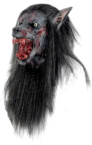 Vista 4 de Ghoulish Productions Máscara de lobo negro. Máscara de látex de lobo negro, máscara de lobo gruñido, máscara de criatura hombre lobo con piel negra.