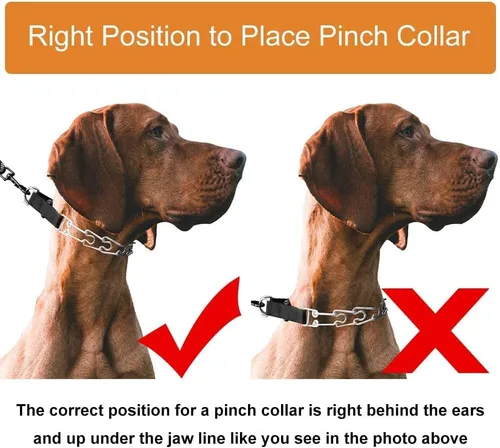 Vista 4 de Collar de punta para perro, collar de entrenamiento ajustable para perros con hebilla de liberación rápida para perros pequeños, medianos y grandes